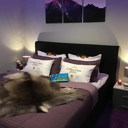 Appartement Golden Gapa City Center 22 *